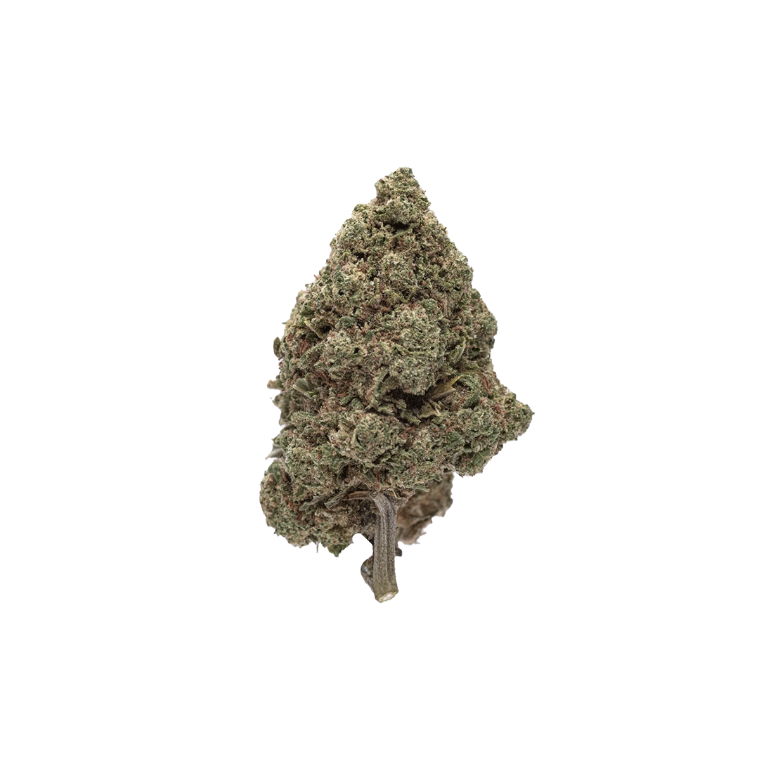CBN BLÜTEN - BLUE DREAM 10%
