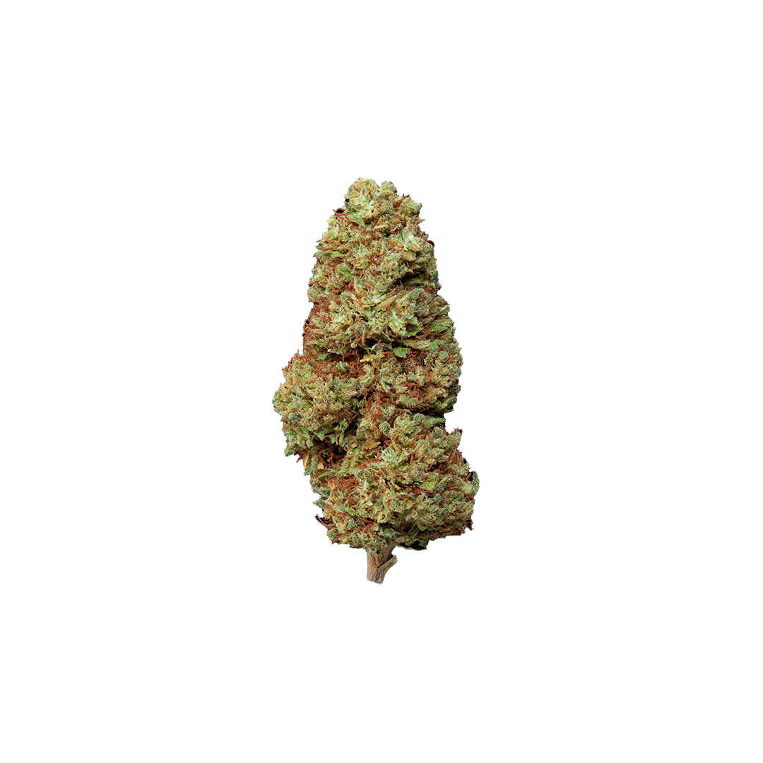 CBD BLÜTEN - DON LIMON 14%