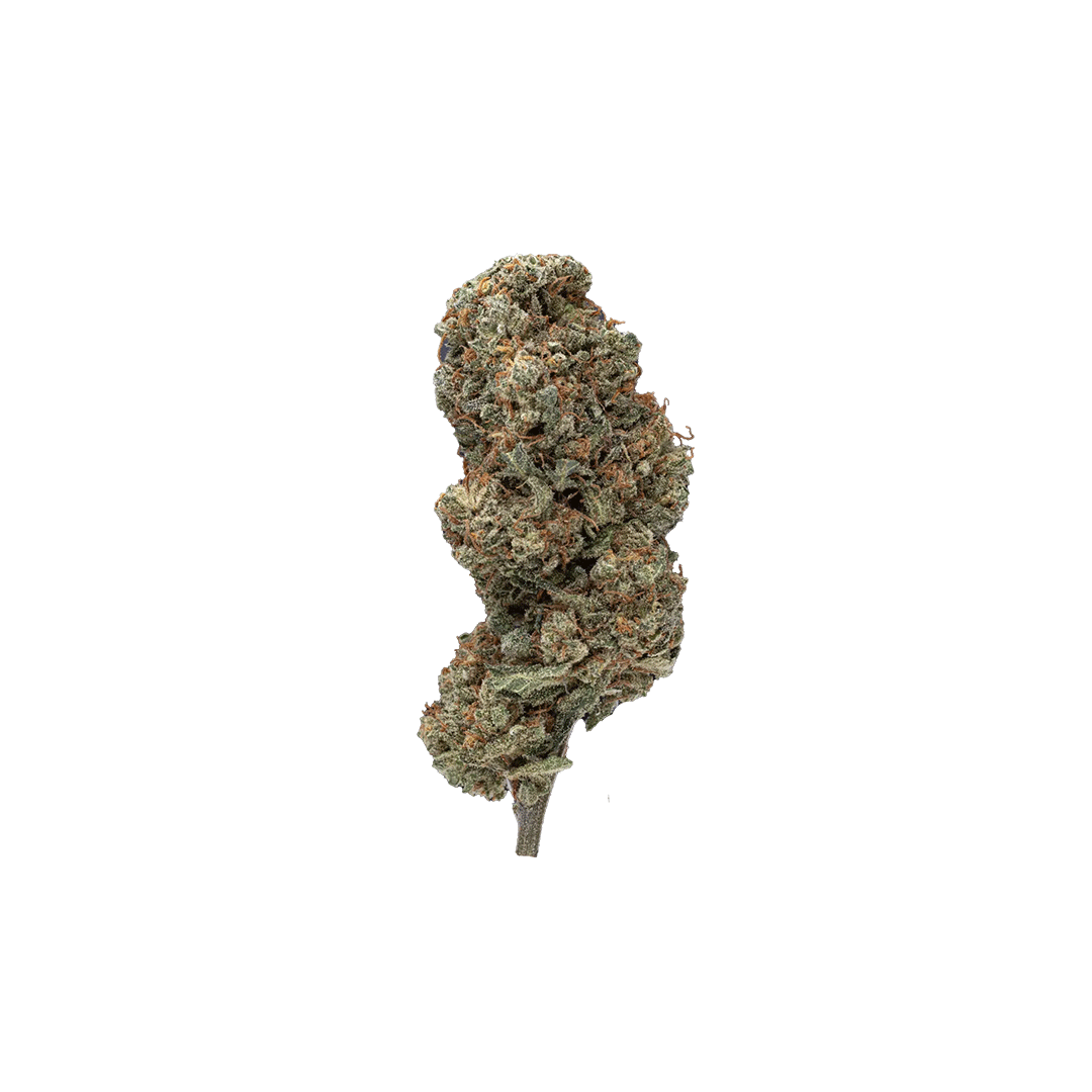 CBD BLÜTEN - GORILLA GLUE 12%