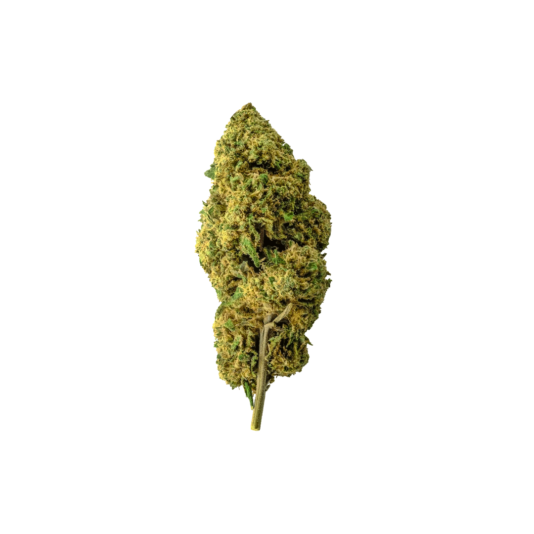 CBD BLÜTEN - JAMAICA ROOTS 15%