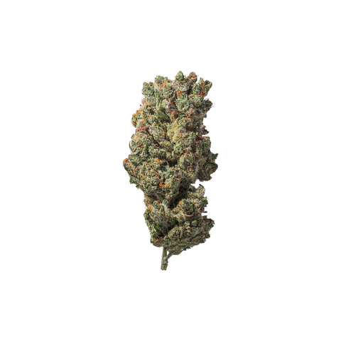 CBD BLÜTEN - SOUTH AFRICA 10%