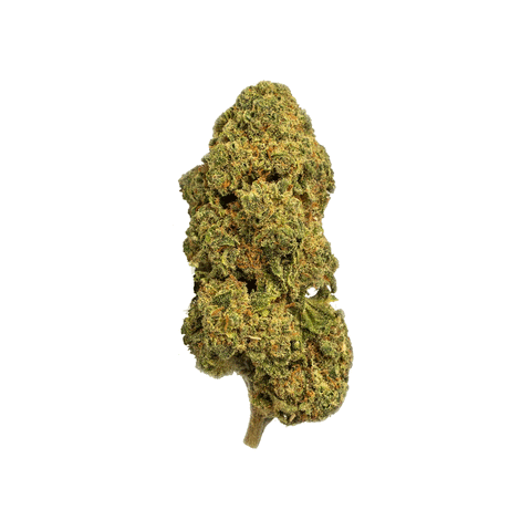 CBD BLÜTEN - BLUEBERRY 10%