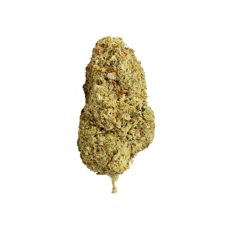 CBD BLÜTEN - GARLIC COOKIES 10%
